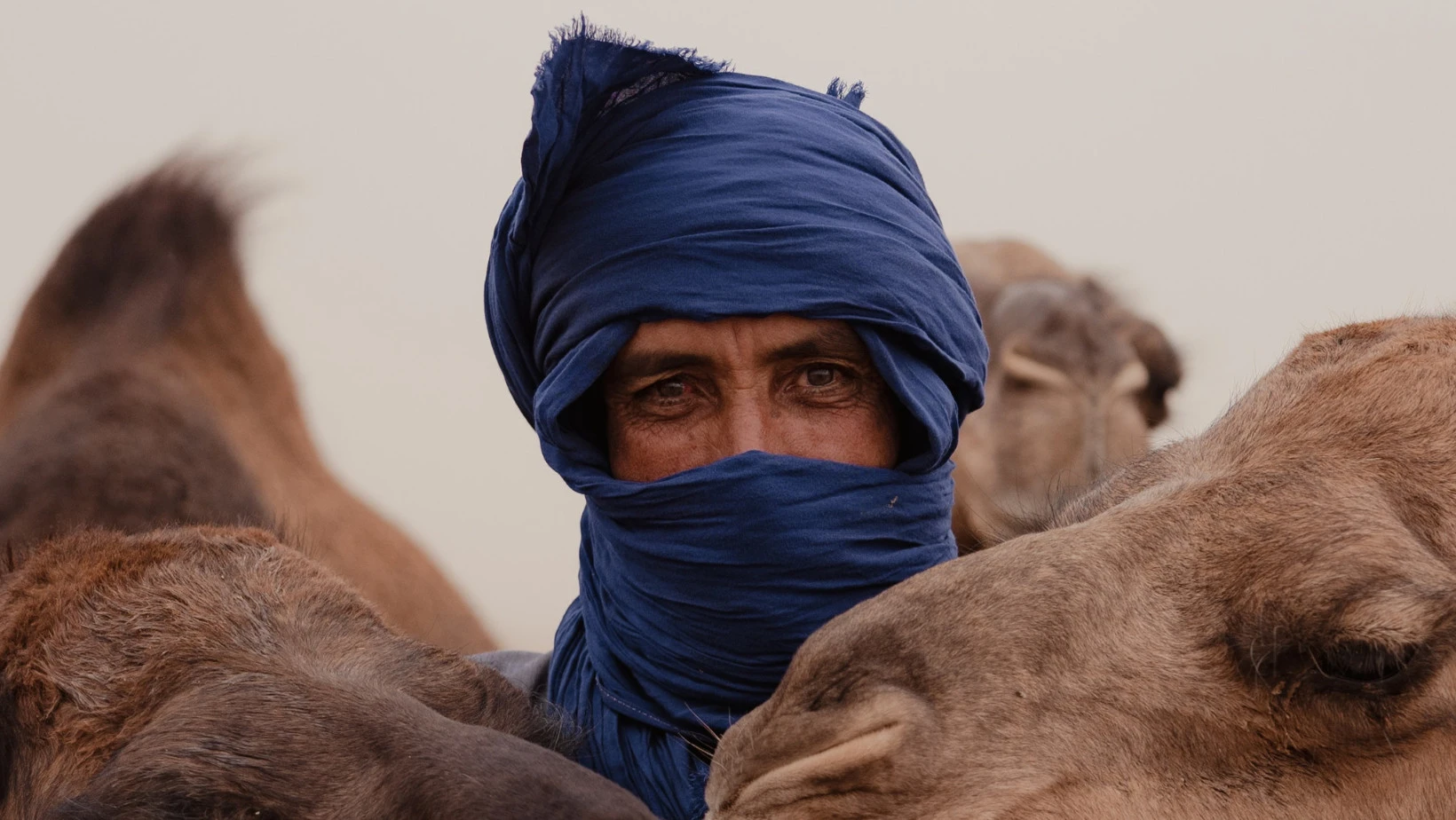 Coucher de soleil spectaculaire sur les dunes du Sahara