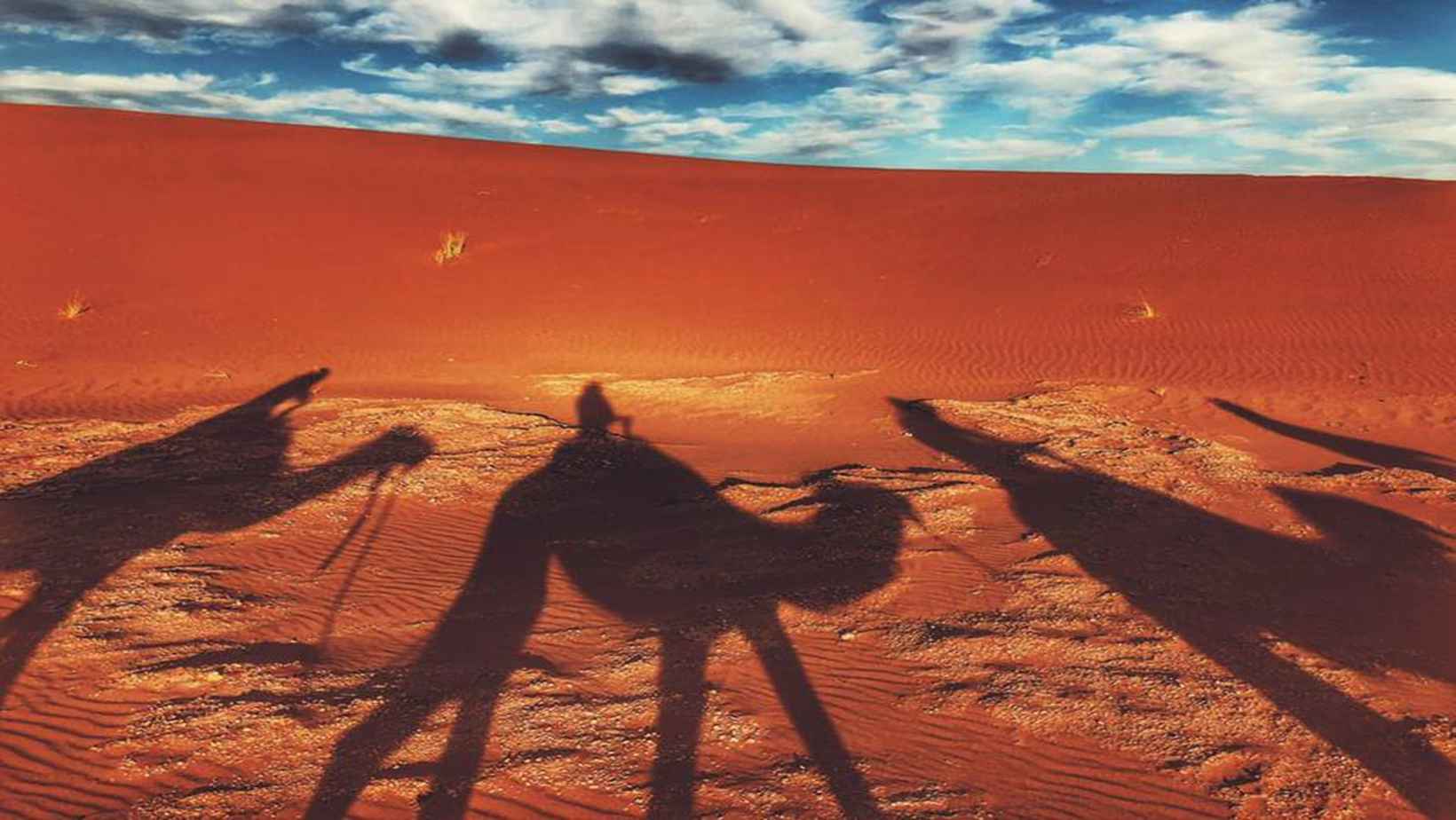 Echanges chaleureux avec les habitants du Sahara lors d'une randonnée enrichissante.