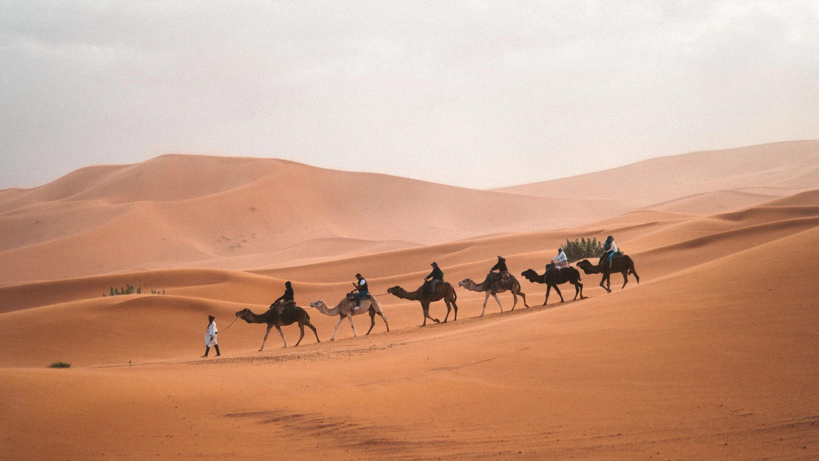 Marchant sur des dunes de sable et explorant un paysage désertique unique